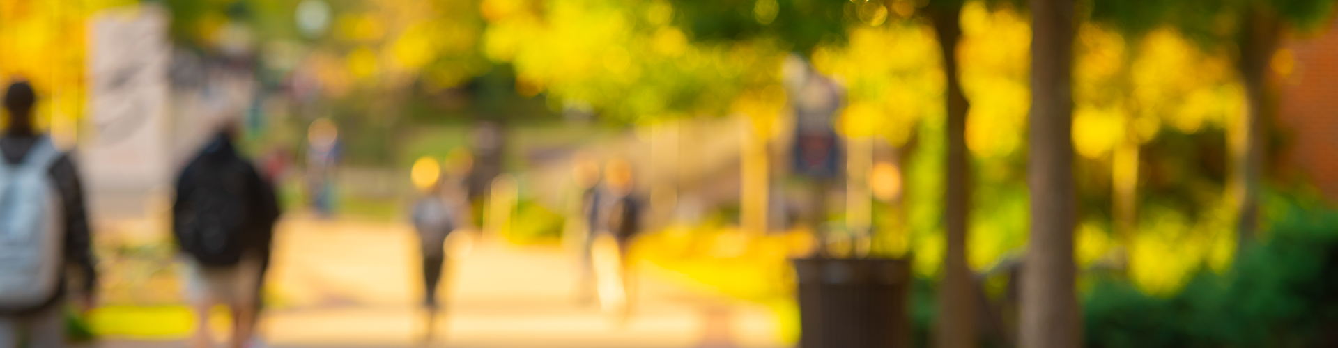 blurred image of students walking down the concourse. the tint is yellow and orange.