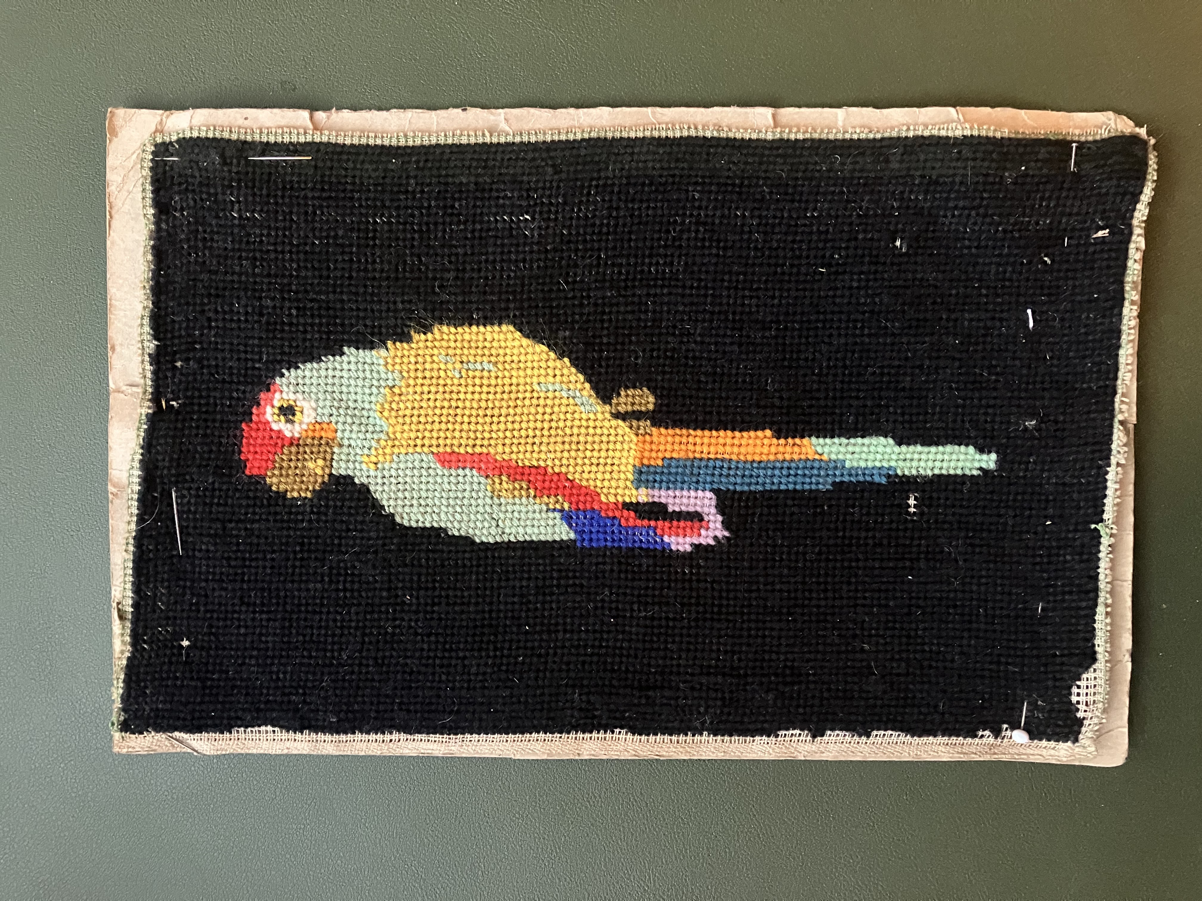 needlepoint of colorful parrot with black background